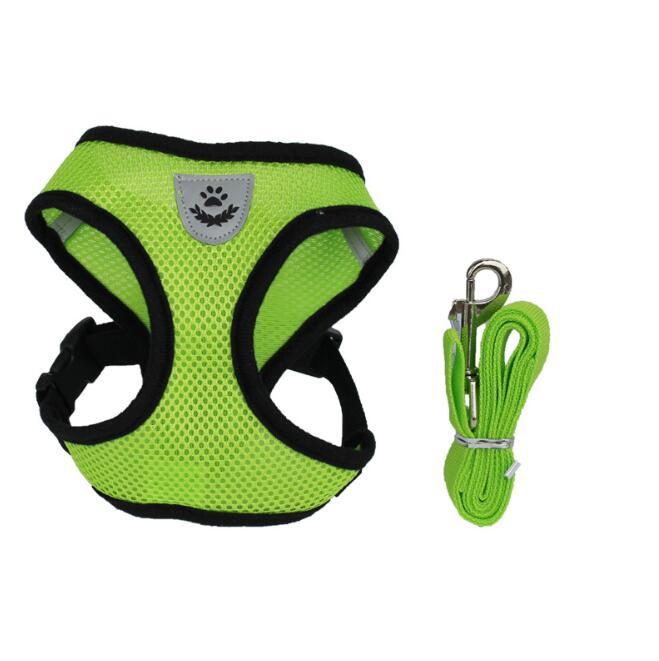 Pet Car Seat Belt – Safe Travel Leash for Dogs