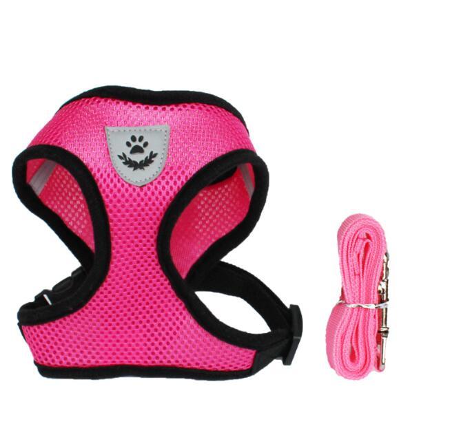 Pet Car Seat Belt – Safe Travel Leash for Dogs