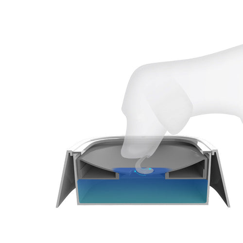 Anti-Overflow Cat & Dog Water Feeder – 1.5L Bowl