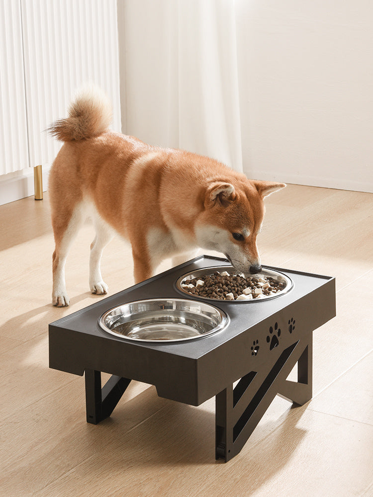 Foldable Dog Bowl – Portable Stainless Steel Pet Feeder