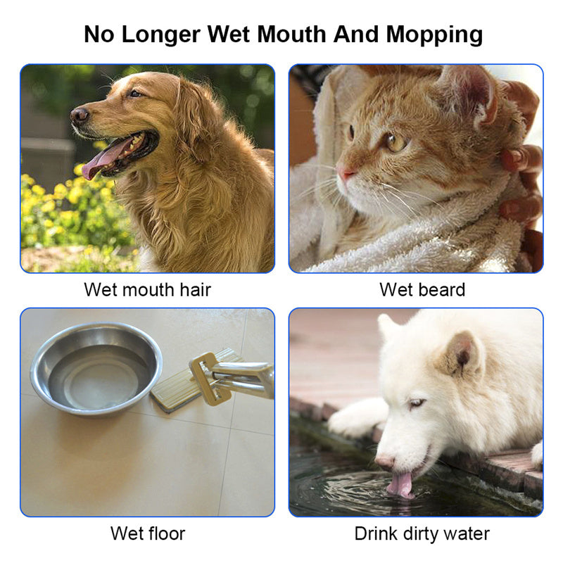 Anti-Overflow Cat & Dog Water Feeder – 1.5L Bowl
