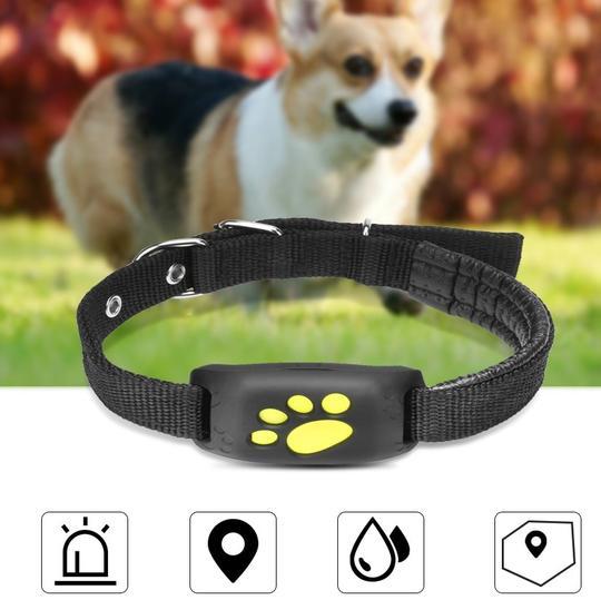 GPS Pet Tracker Collar – Never Lose Your Pet Again