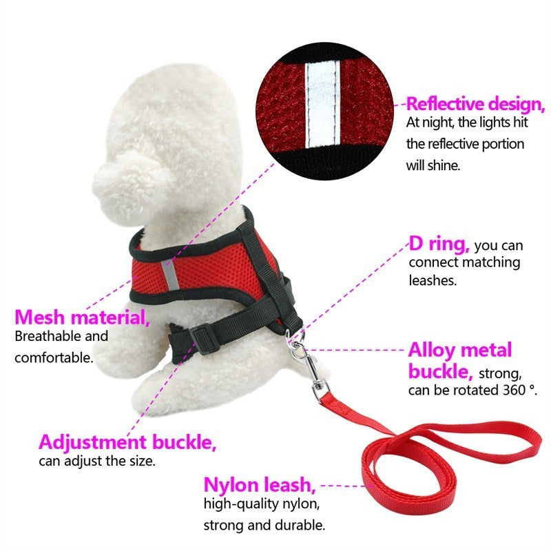 Pet Car Seat Belt – Safe Travel Leash for Dogs