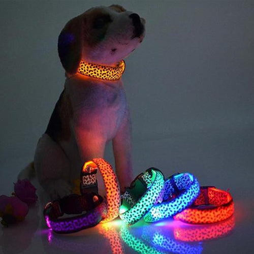 Adjustable LED Pet Collar – Leopard Print for Night Walks